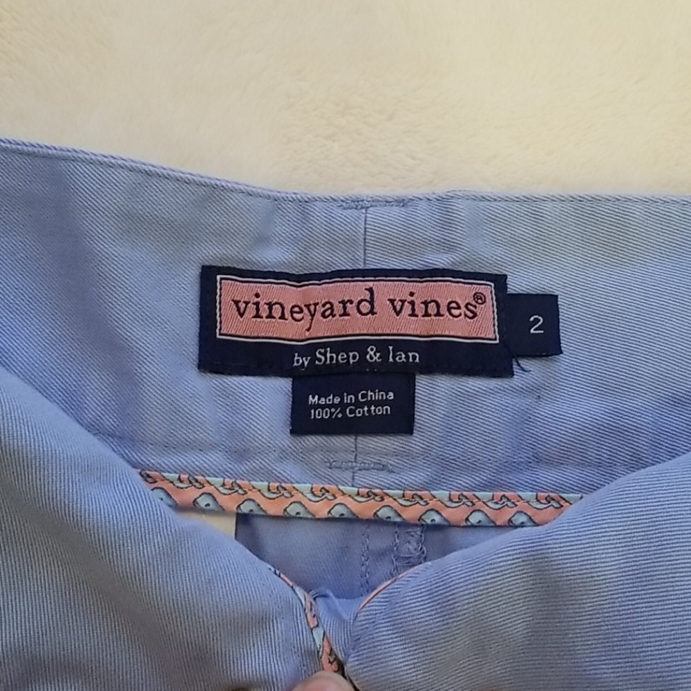 Women's Vineyard Vines Baby Blue Skirt Size 2 NWOT - Picture 4 of 6